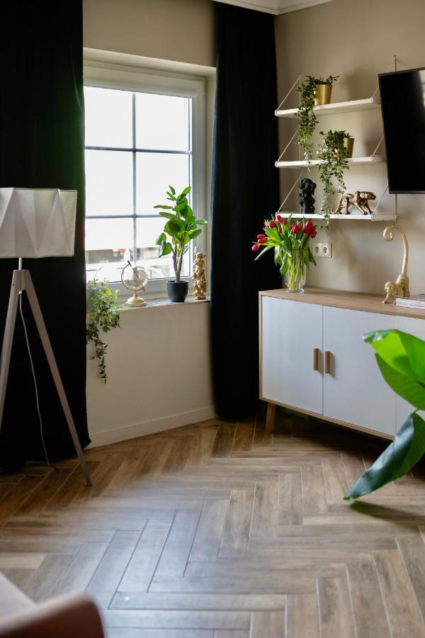Apartamenty Zamkowe Centrum Квідзин Екстер'єр фото
